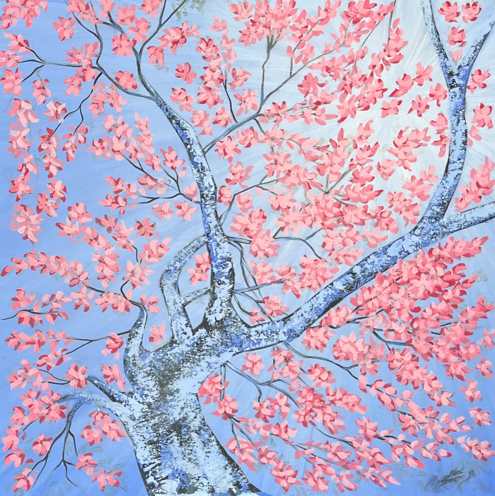 Cherry Blossom — Tajibo rosa